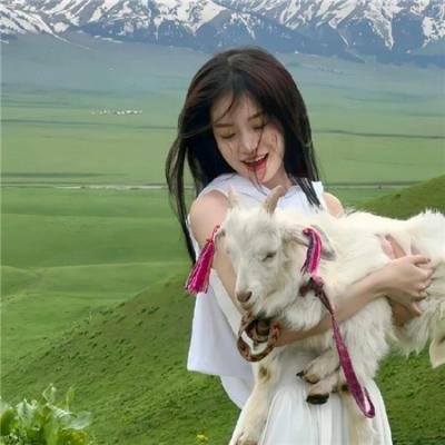 六人晚餐